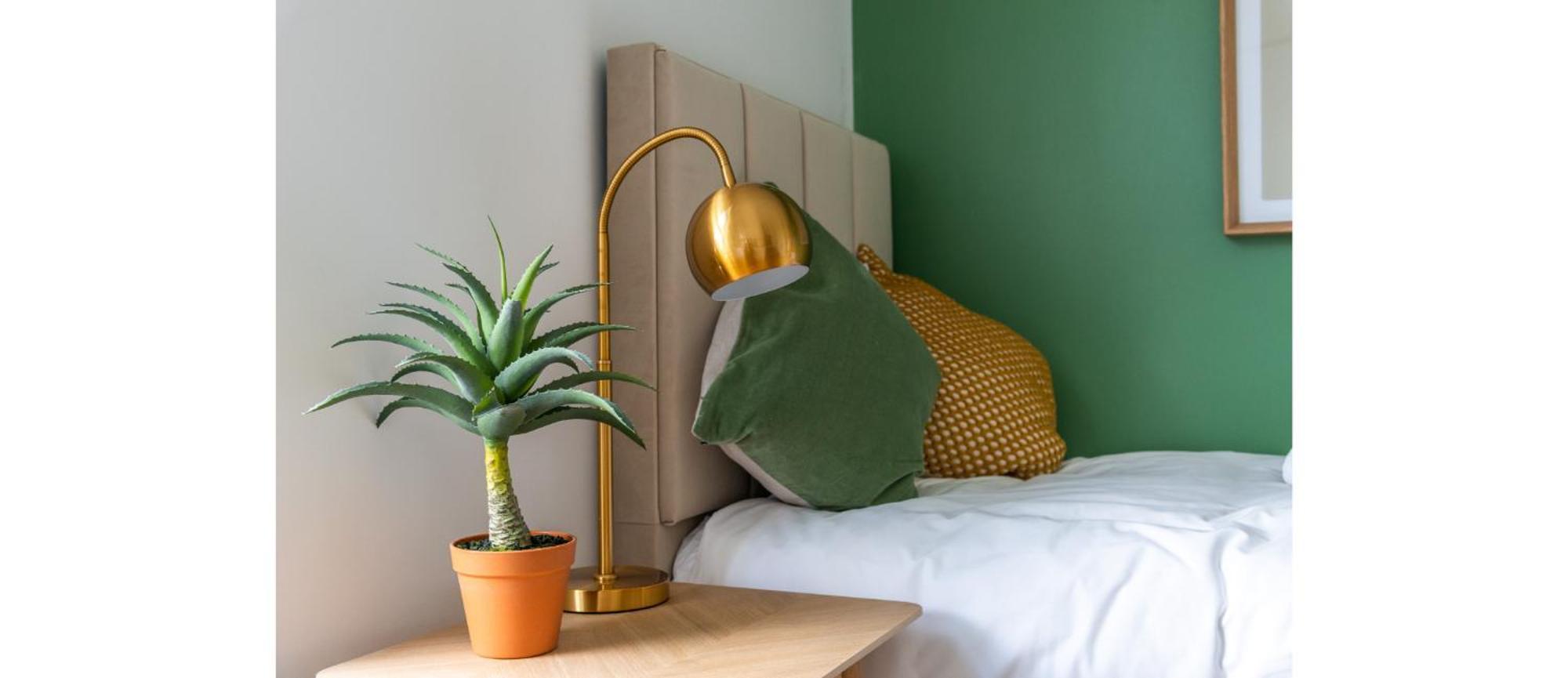 Cozy And Lovely - Close To Everything! Apartamento
